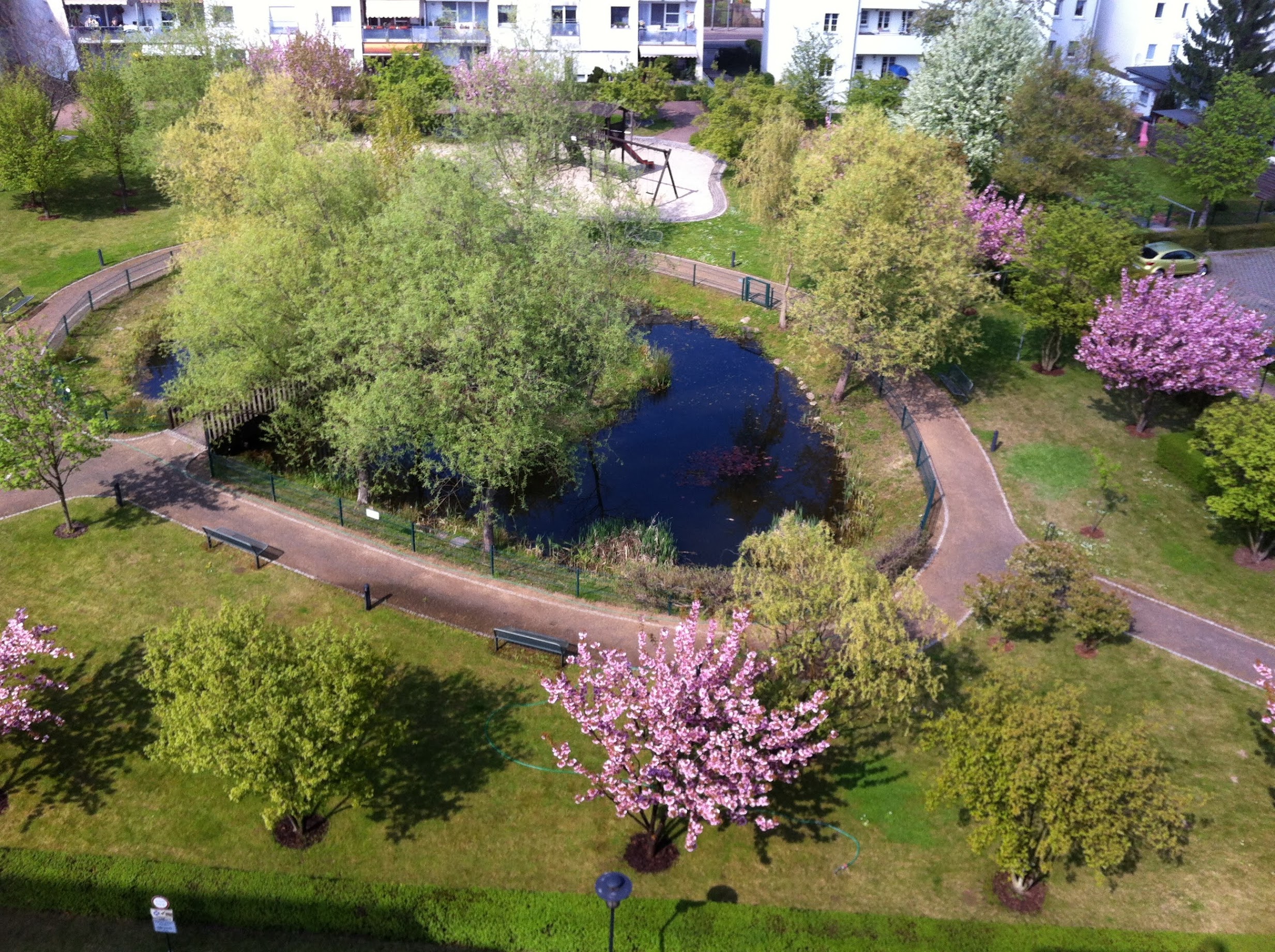 Teich-Frühjahrsputz